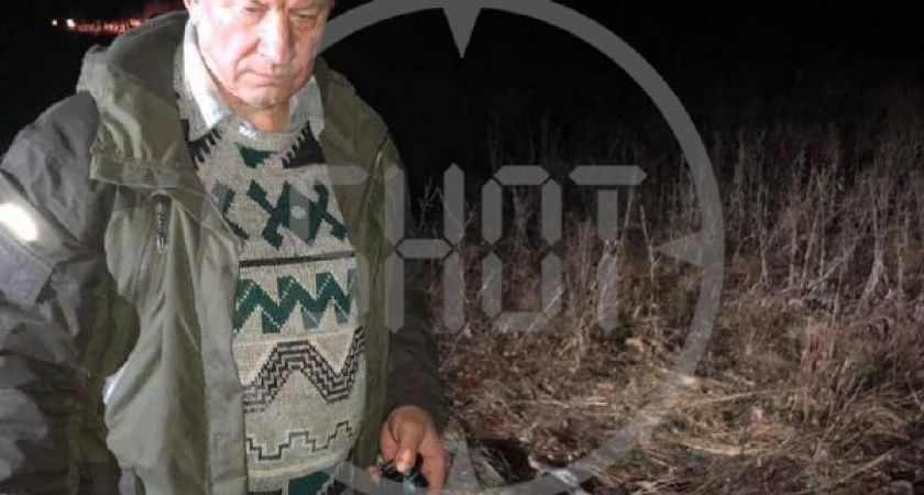 Семья Рашкина снова в центре скандала: автомобиль сына сбил лося в Саратовской области