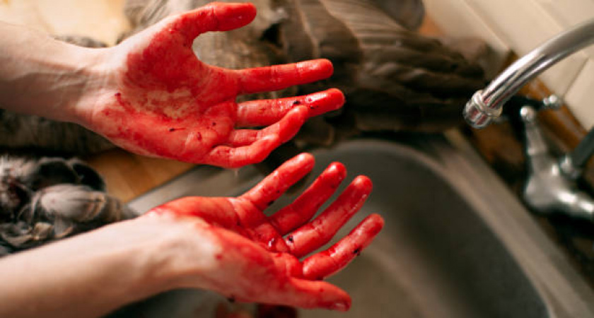 Криминал в Калининграде: местная жительница обвиняется в убийстве бывшего мужа 