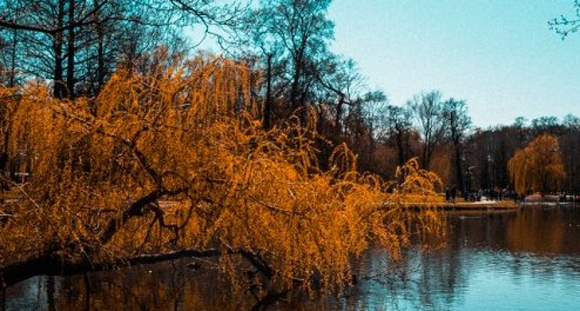 Калининград встречает жаркий день: облачность, кратковременные дожди и северо-западный ветер