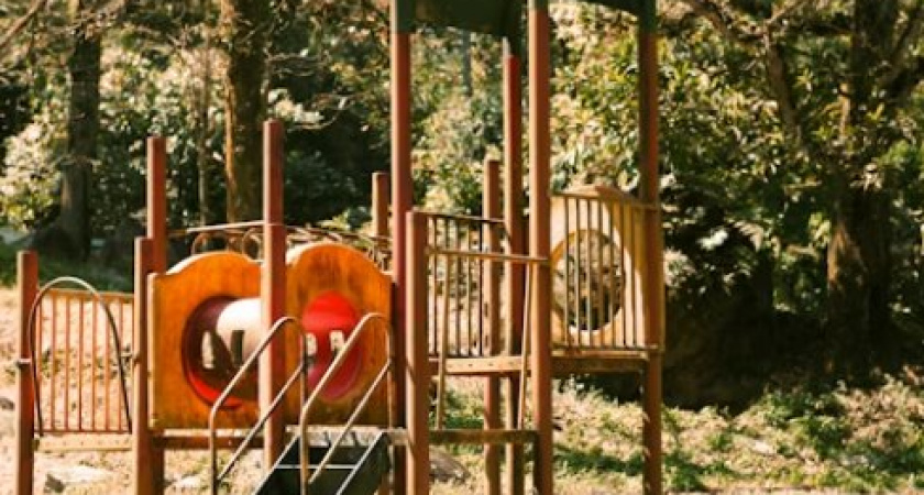 Битва за качели: в Калининграде женщина избила мать 9-летней девочки