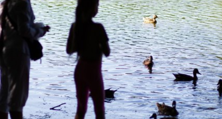 Власти Калининграда: — Не хватает средств на благоустройство городских парков