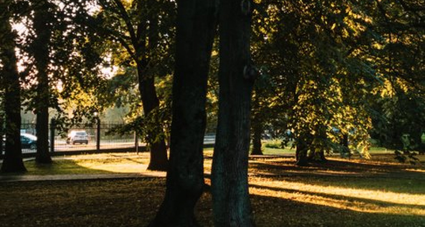 Погода в Калининграде: Северо-западный ветер приносит переменчивую погоду