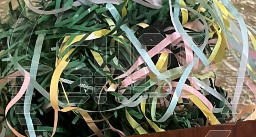 Камеры наблюдения любопытного  хозяина квартиры довели до проблем с законом 