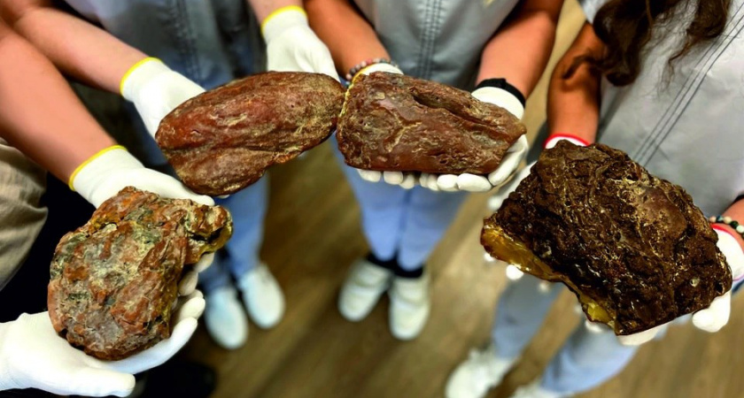 Золотая лихорадка по-калининградски: сколько больших янтарных самородков удалось добыть за две недели