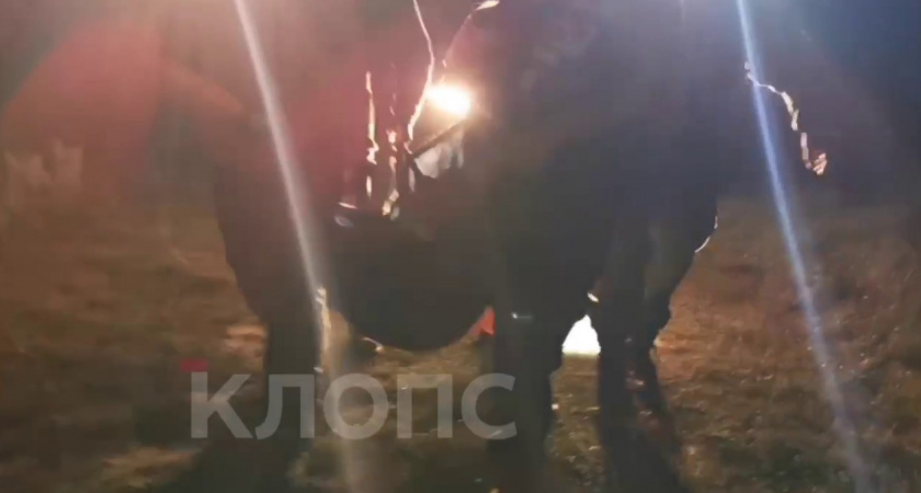 Сбежала в одной рубашке: как удалось найти пропавшую старушку под Светлым