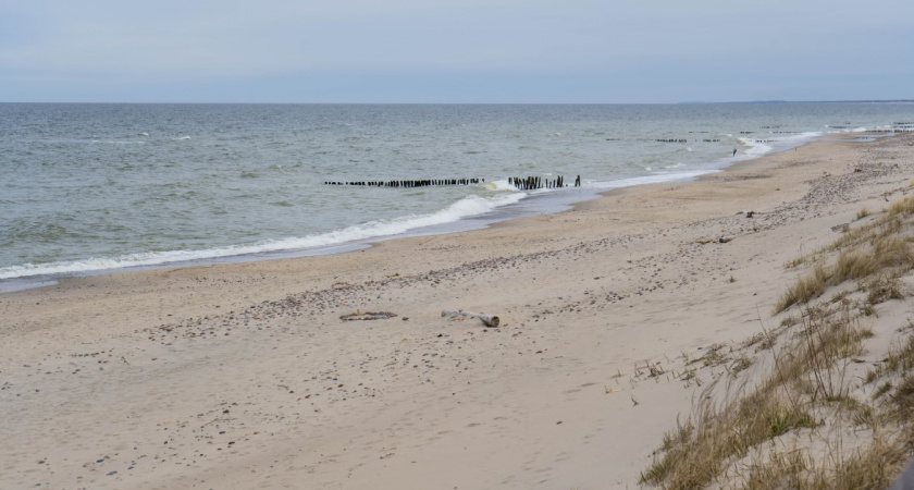 Краткий обзор текущей ситуации на пляжах в Калининградской области. Можно купаться или уже поздно
