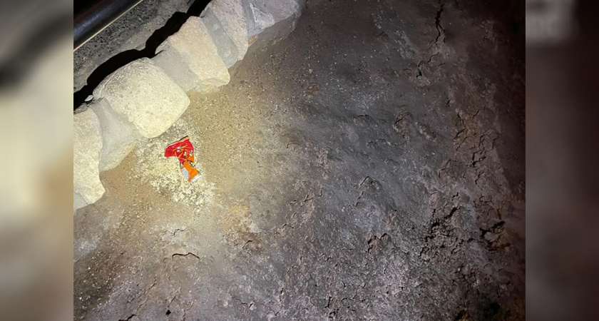 Смертельно вкусно: как обычные чипсы стали причиной гибели животных в заповеднике