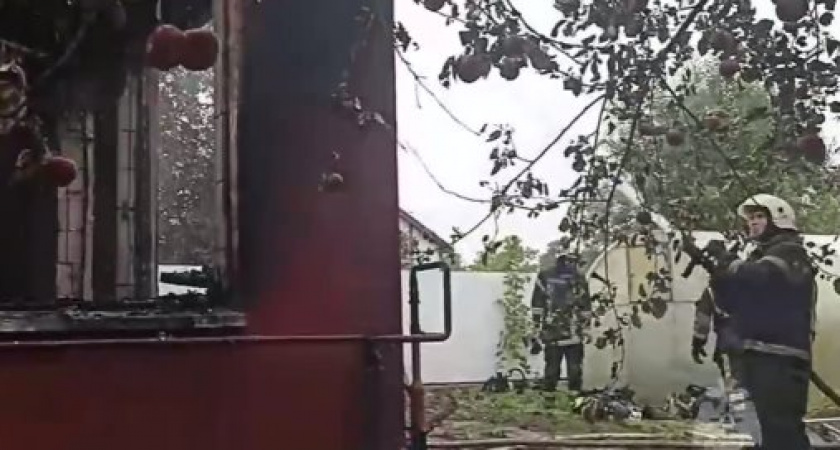 Месть ценой детской жизни: шокирующее преступление в Калининграде, видео с места происшествия