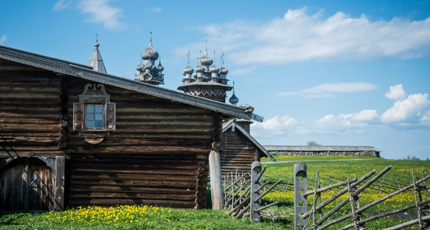 Селфи с коровой за 60 тысяч. Избинг захватывает российскую молодежь