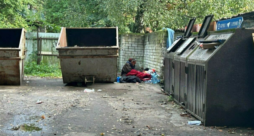 Своеобразная бездомная «упала с Луны» появилась на улице Калининграда