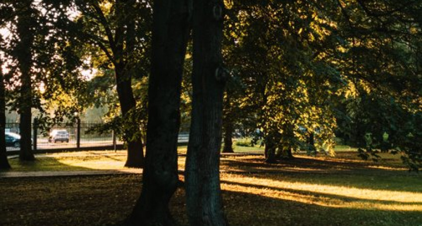 Между летом и осенью: прогноз погоды на 21 сентября в Калининграде