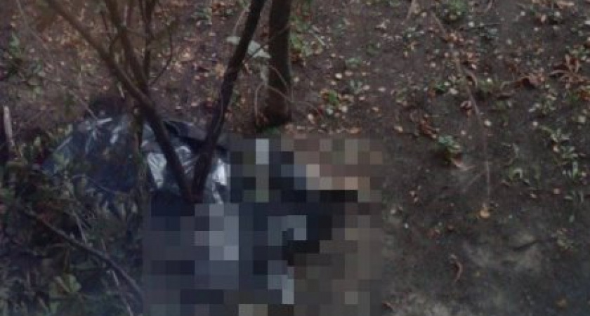 14-летняя мать совершила самоубийство вместе с новорожденным, после домашних родов