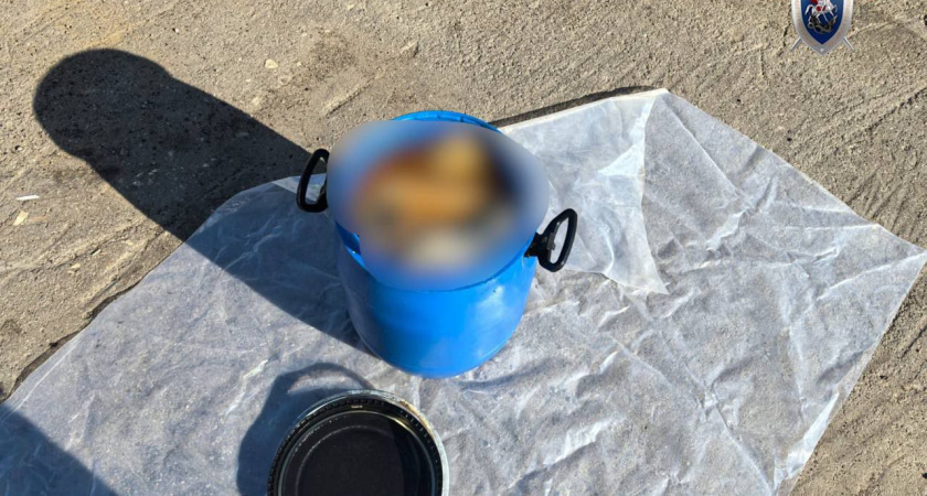 В аэропорту Калининграда был задержан расчленитель из Питера