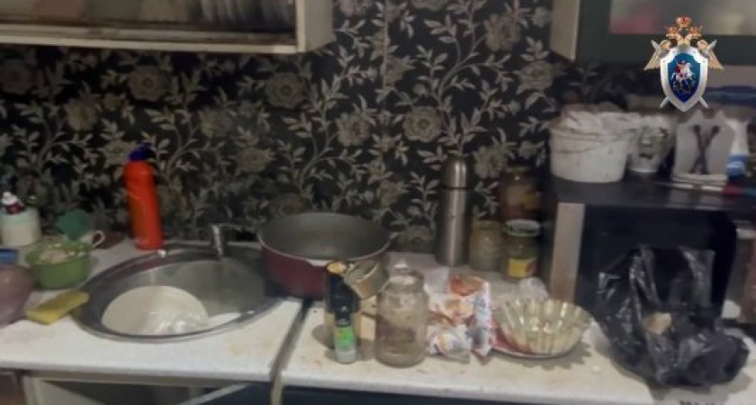 Тайна сибирской трагедии: была названа основная причина гибели детей после ужина в Красноярском крае