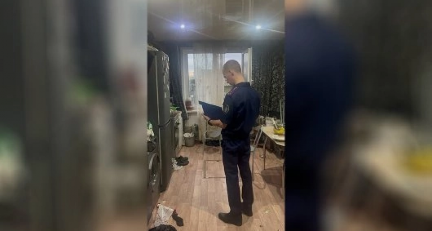 После отравления семьи в Красноярском крае, производитель дихлофоса дал первый комментарий