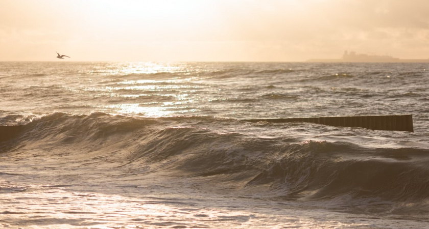 Ситуация на море в Калининградской области. Сводка для отдыхающих на 25 сентября