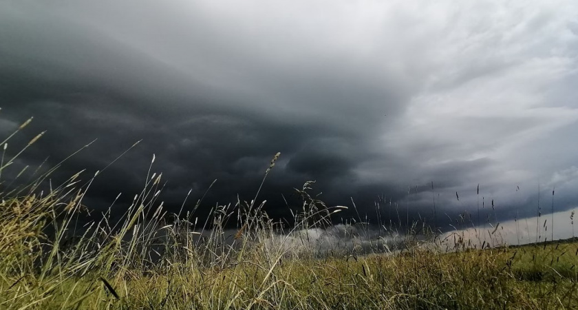 Перед ощутимыми изменениями. Прогноз погоды в Калининграде на 26 сентября