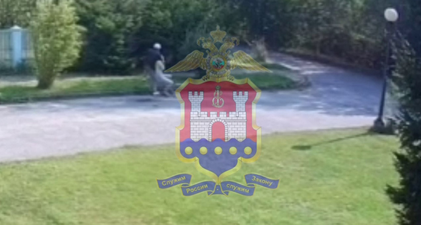 Повалил на землю и выхватил сумку. Наркоман напал на женщину в Калининграде прямо средь бела дня