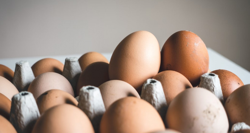 Яичная политика: как в России ужесточат меры по стабилизации цен