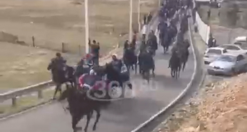 В Кабардино-Балкарии во время конного пробега погибло большое количество лошадей