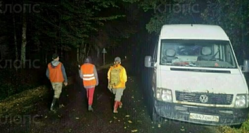 Тихая охота с громким финалом: история выживания в лесу