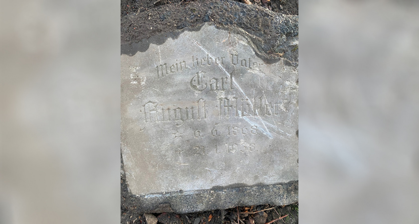 Неожиданная находка: калининградке доставили грунт с необычным сюрпризом из прошлого века