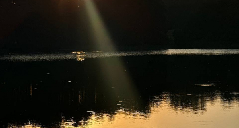 Трагедия на окраине Калининграда: во время прогулки едва не погибла женщина