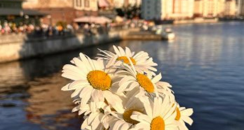 Прогноз погоды в Калининграде на сегодня, 6 октября