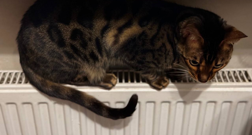 Важная информация: с сегодняшнего дня в Калининграде начнется отопительный сезон