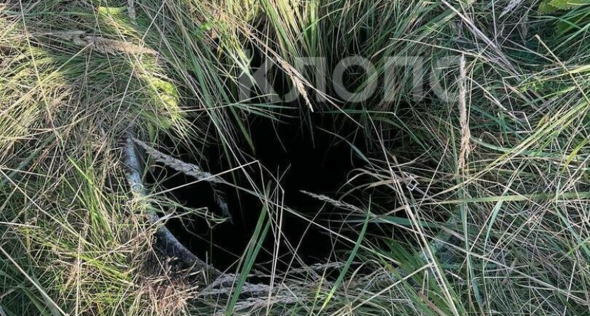 Из-за высокой травы в Багратионовске 12-летний ребенок упал в колодец с водой 