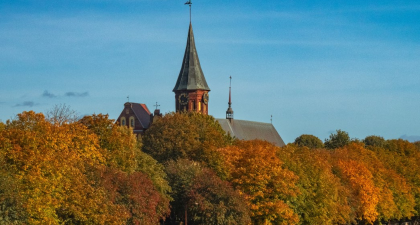 Тепло не сдается. Прогноз погоды в Калининграде на 10 октября