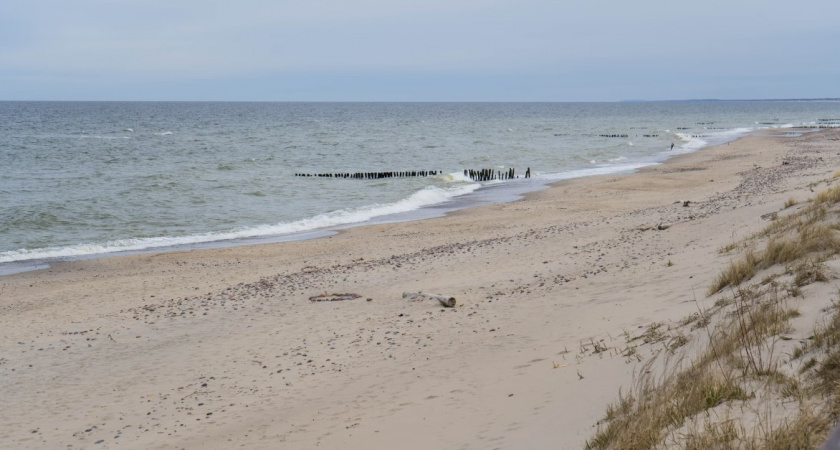 Отступило ли тепло. Прогноз погоды в Калининграде на 11 октября