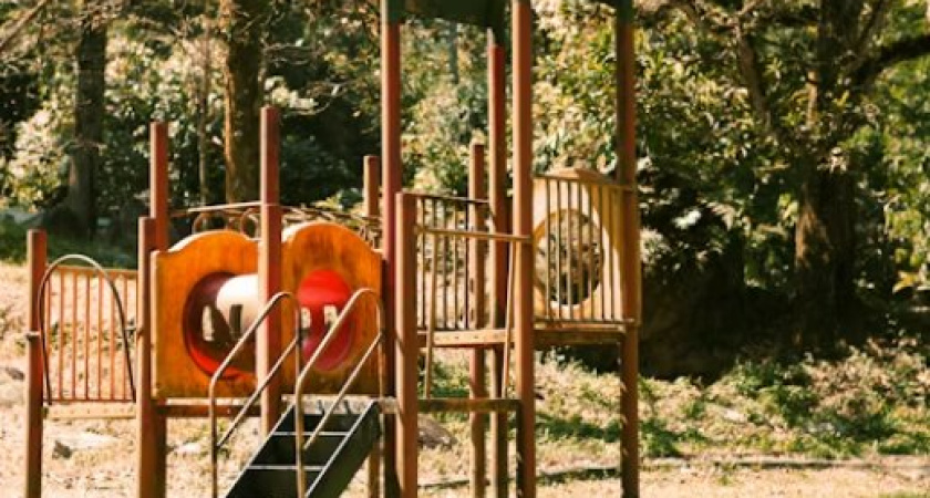 Пьяный дебошир напал на детей на игровой площадке в Петербурге