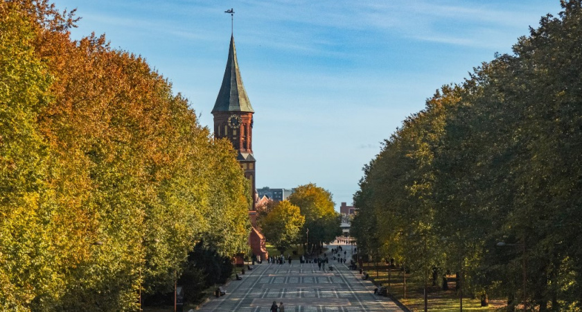 Антициклон пришел в регион. Прогноз погоды в Калининграде на 16 октября 