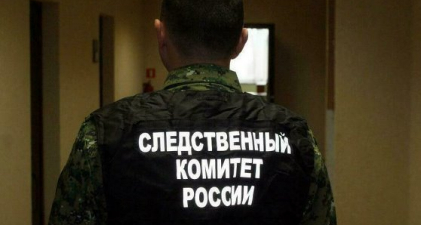 В Калининградской области внук подозревается в регулярных избиениях своей бабушки