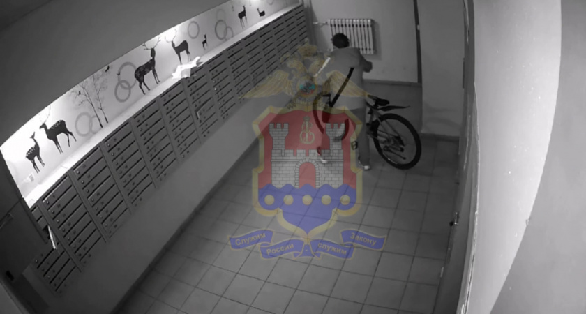 Полиция города Калининграда разыскивает похитительницу велосипеда