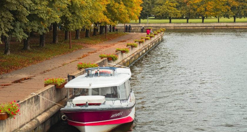Тепло решило задержаться. Прогноз погоды в Калининграде на 22 октября
