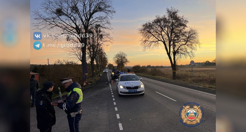 В Калининградской области на Мамоновском шоссе случилось смертельное ДТП. Причины и детали