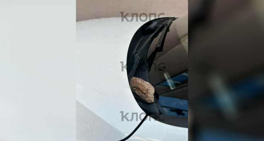 «Снял и выложил»: как дорожный спор в Калининграде перерос в травлю многодетной матери