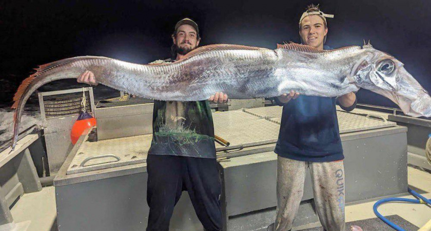 Рыбаки из Австралии поймали предвестника «судного дня»: к чему стоит готовиться 