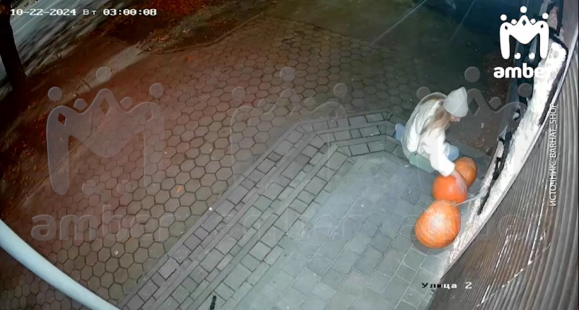 В Калининграде стали пропадать тыквы: кто-то из горожан своеобразно готовится к Хеллоуину