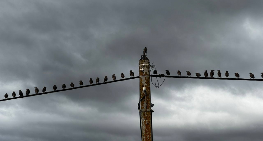 Прогноз погоды на сегодня