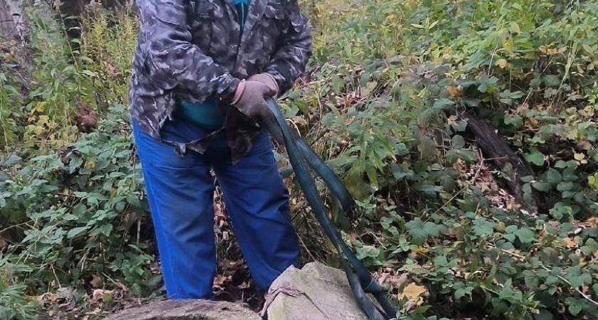 В Немане прохожий услышал странный шум из колодца и сделал удивительную находку