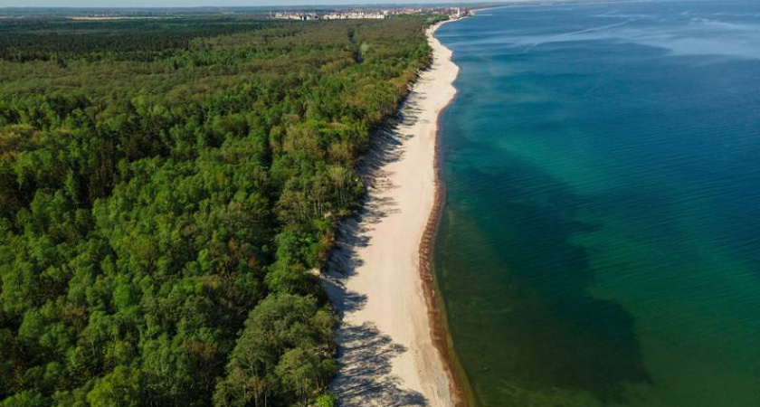 Куршская коса вошла в топ самых таинственных мест России