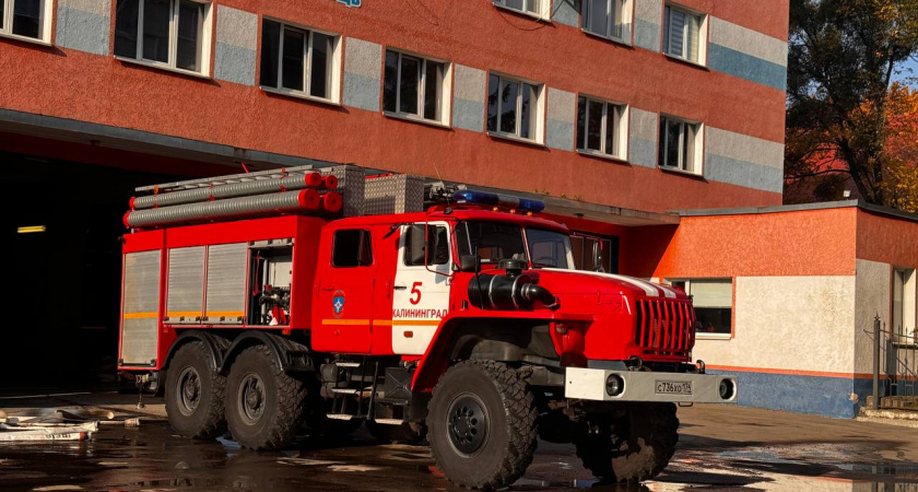 Пожар в многоэтажке на Московском проспекте в Калининграде: спасены 10 человек