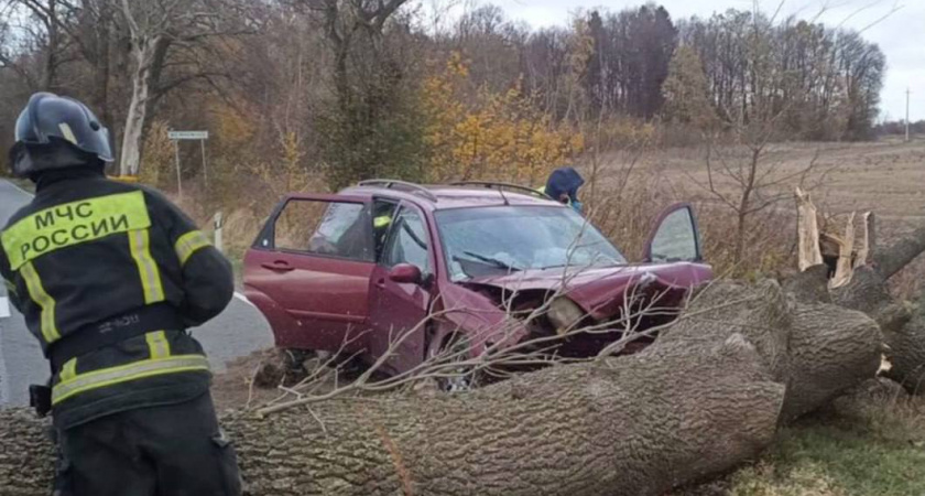 Ураган «Мартина» и первая жертва непогоды в Калининградской области