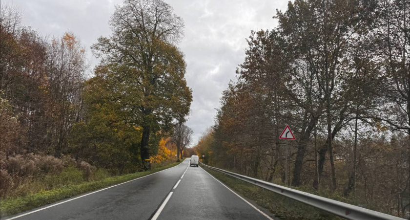 Трагедия на Куршской косе грибник погиб во время урагана