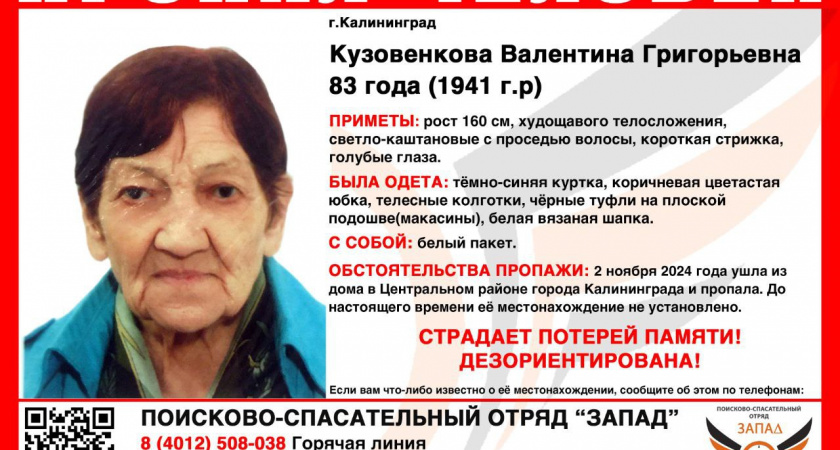 Пропажа пенсионерки в Калининграде вызвала тревогу у жителей