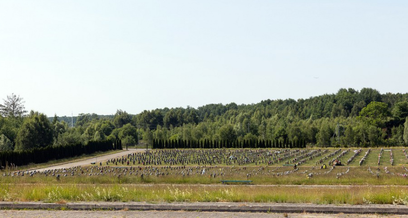 На что потратят 9,49 млн рублей в проекте кладбища в Медведевке