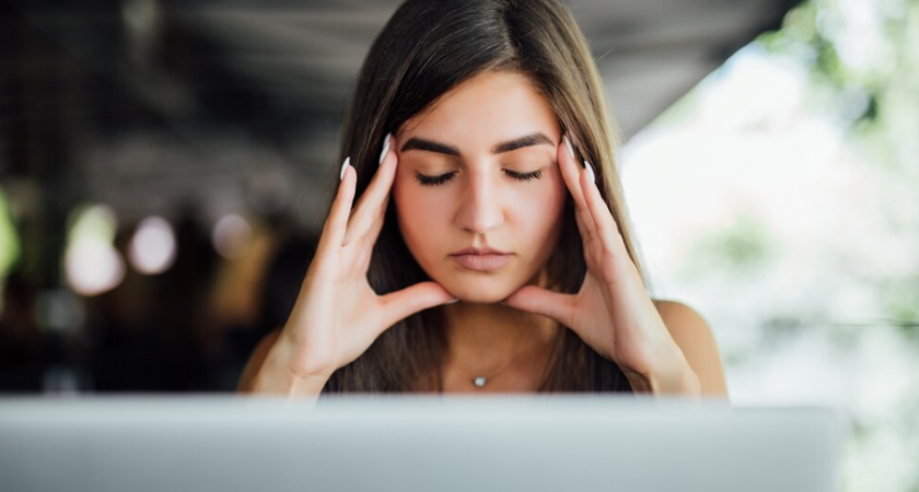 Офисы и их секретное оружие против стресса: кто работает в офисах Калининграда кроме людей